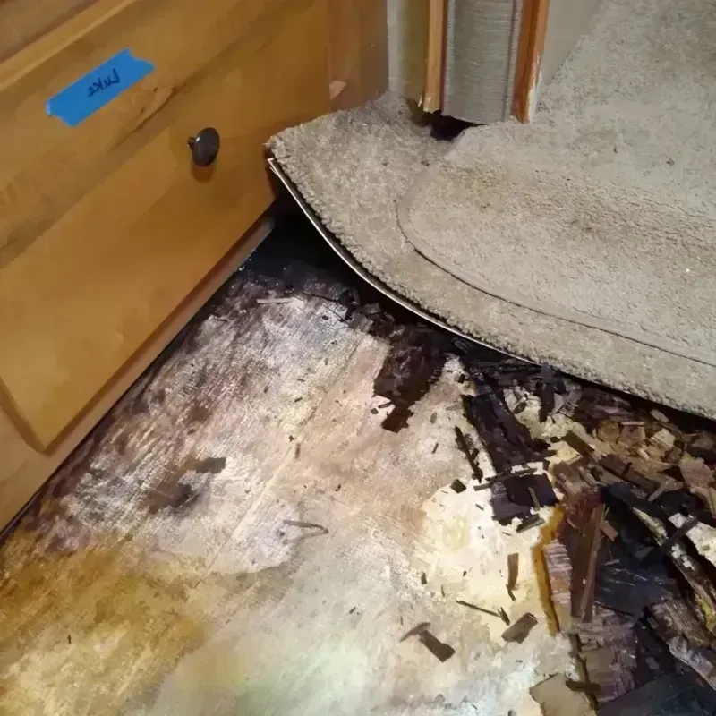 Wood Floor Water Damage in Black Canyon City, AZ